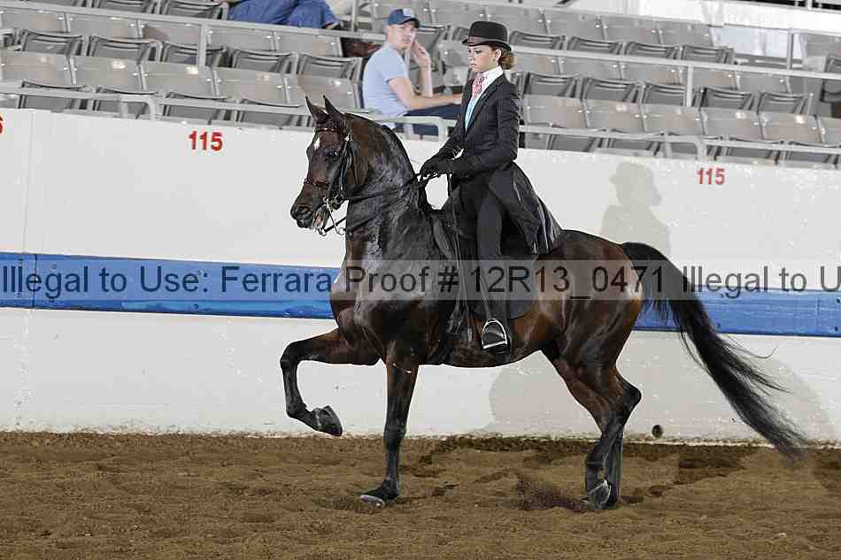 Proof 12r13_0471