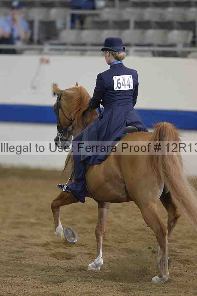 Proof 12r13_0473
