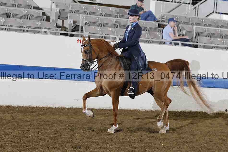 Proof 12r13_0474