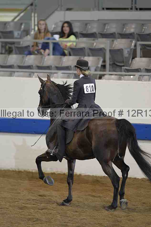 Proof 12r13_0475