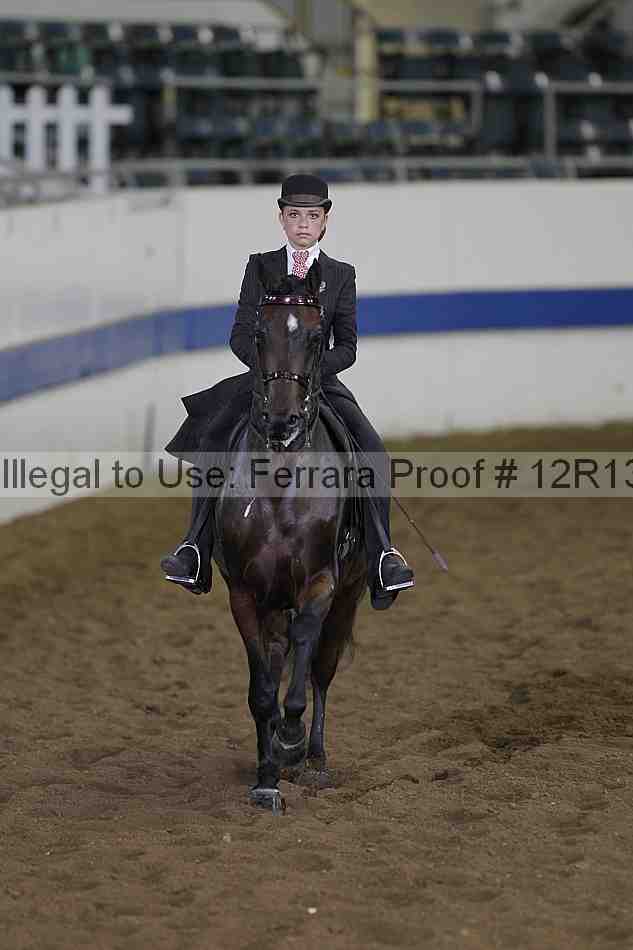 Proof 12r13_0481