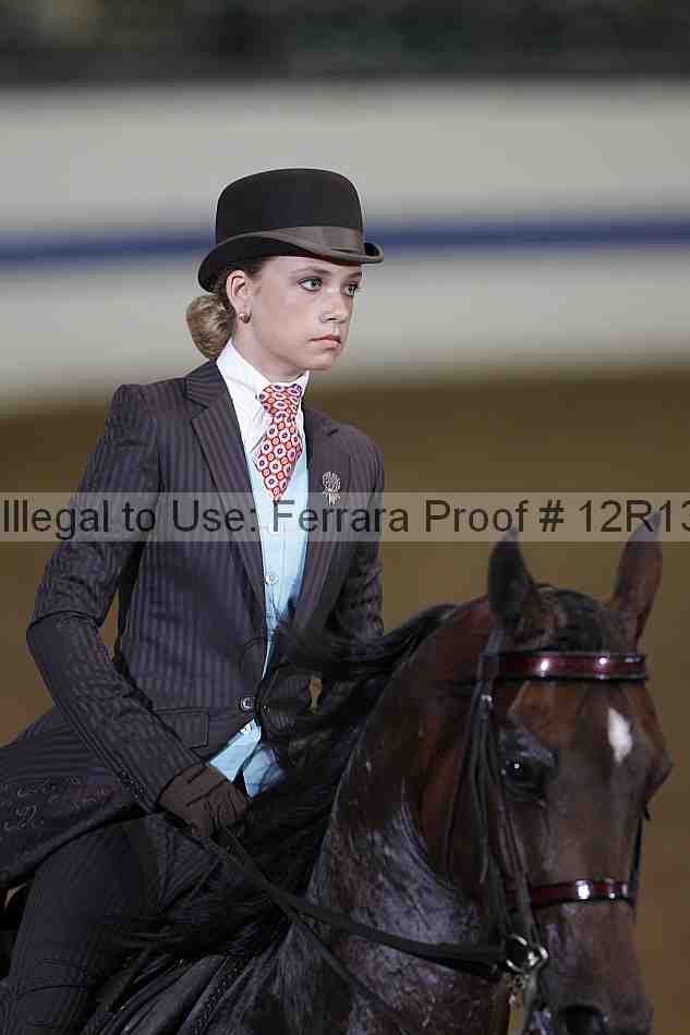 Proof 12r13_0483
