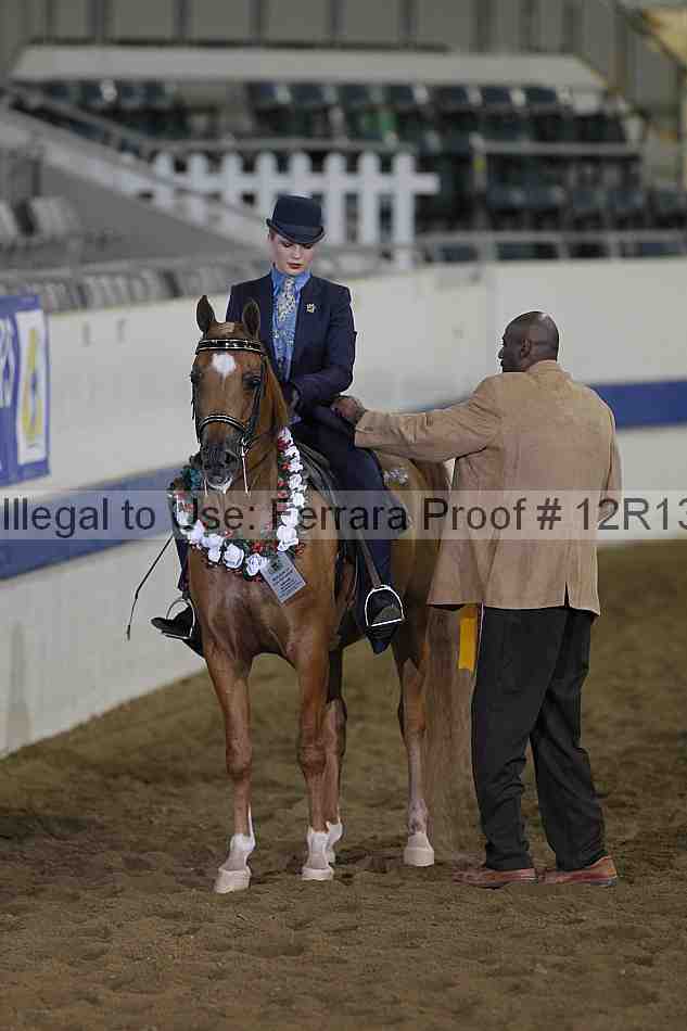 Proof 12r13_0488
