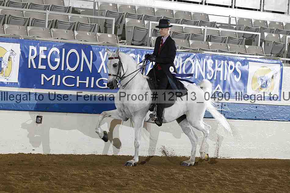 Proof 12r13_0490