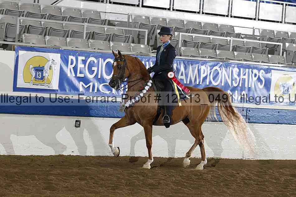 Proof 12r13_0491