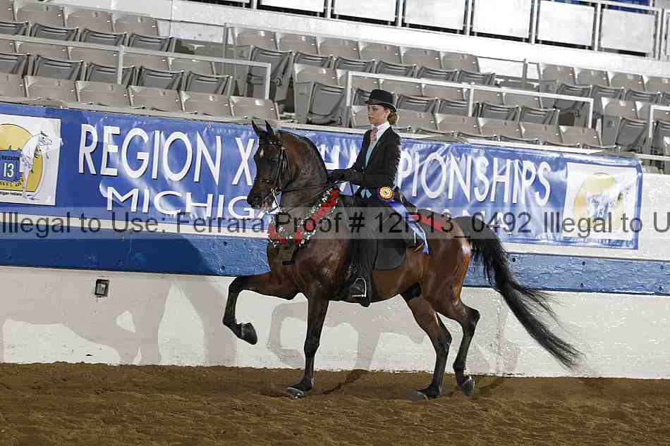 Proof 12r13_0492