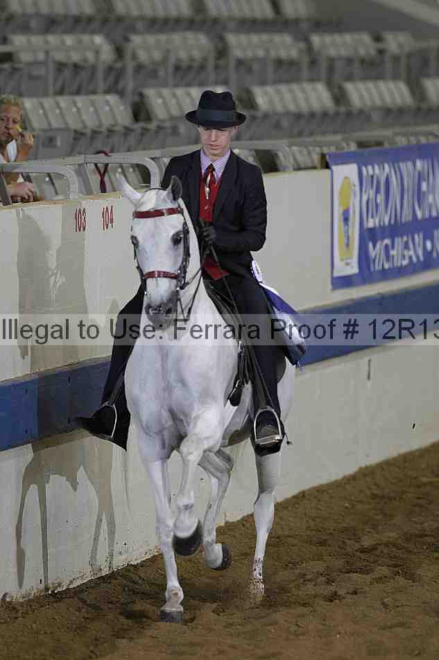 Proof 12r13_0494