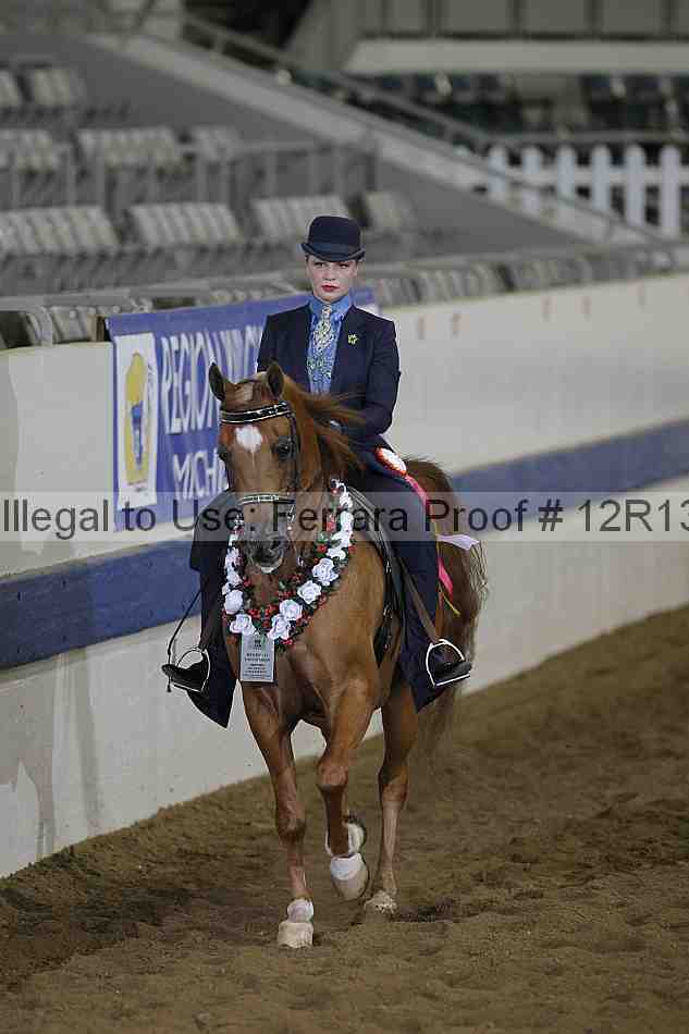 Proof 12r13_0495
