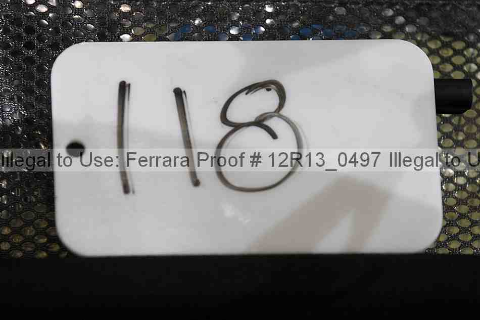 Proof 12r13_0497