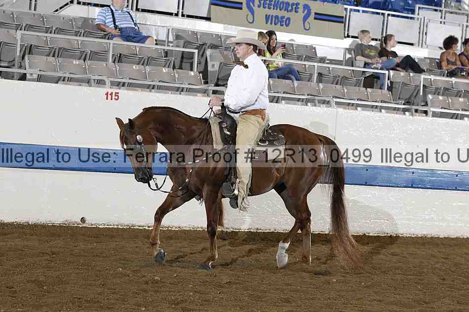 Proof 12r13_0499