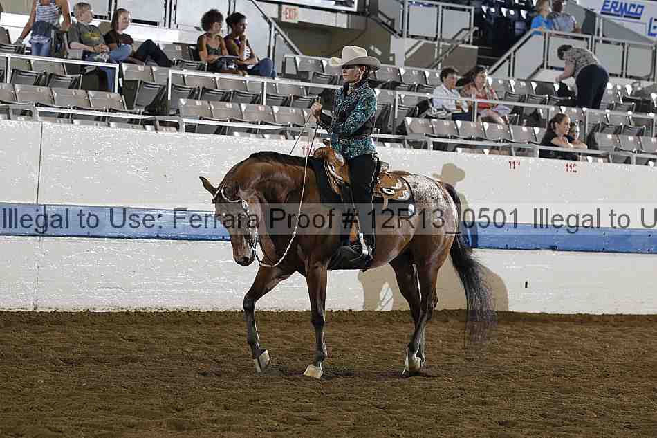 Proof 12r13_0501