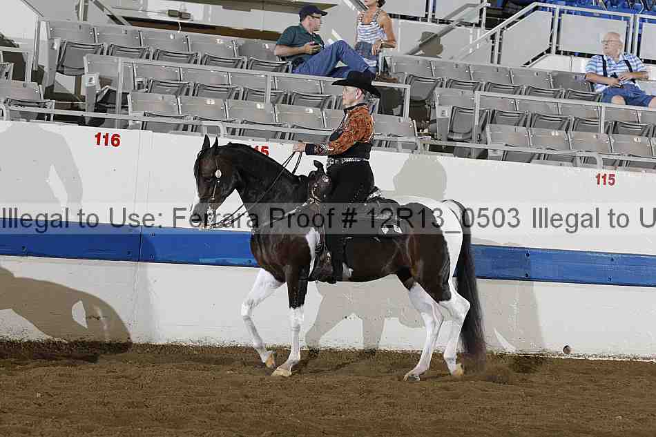 Proof 12r13_0503