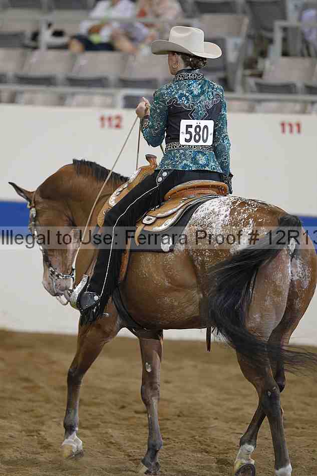 Proof 12r13_0504