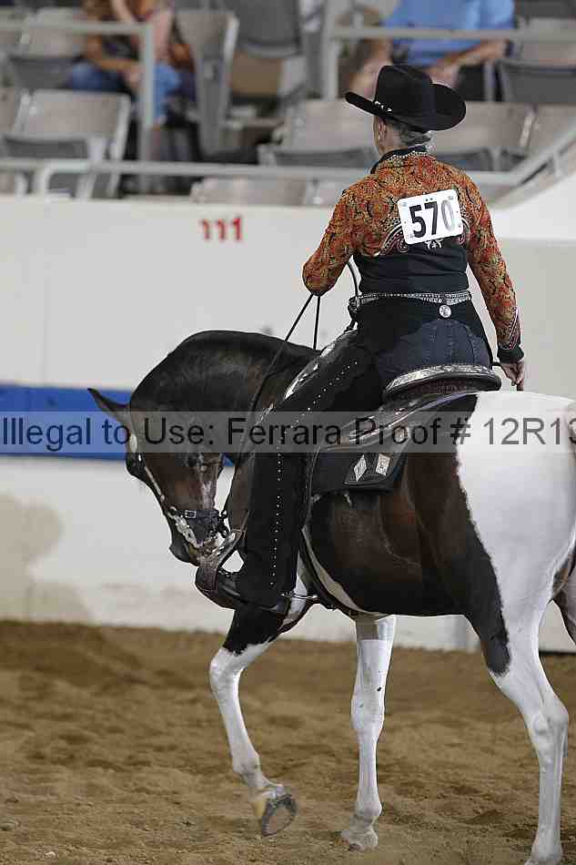 Proof 12r13_0505