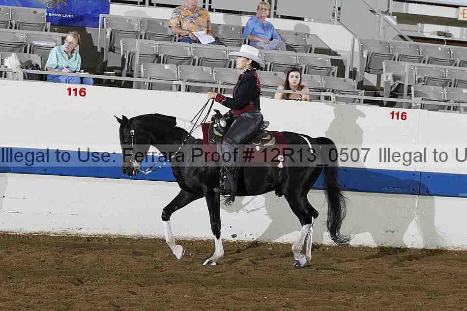 Proof 12r13_0507