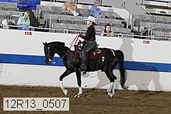 12r13_0507 proof