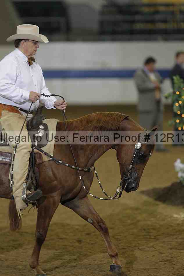 Proof 12r13_0508