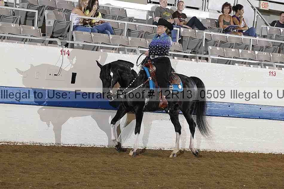Proof 12r13_0509