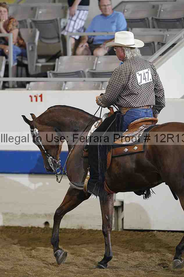 Proof 12r13_0510