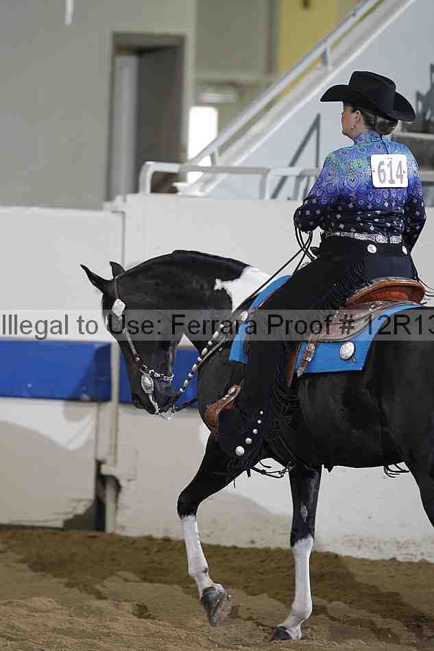 Proof 12r13_0513