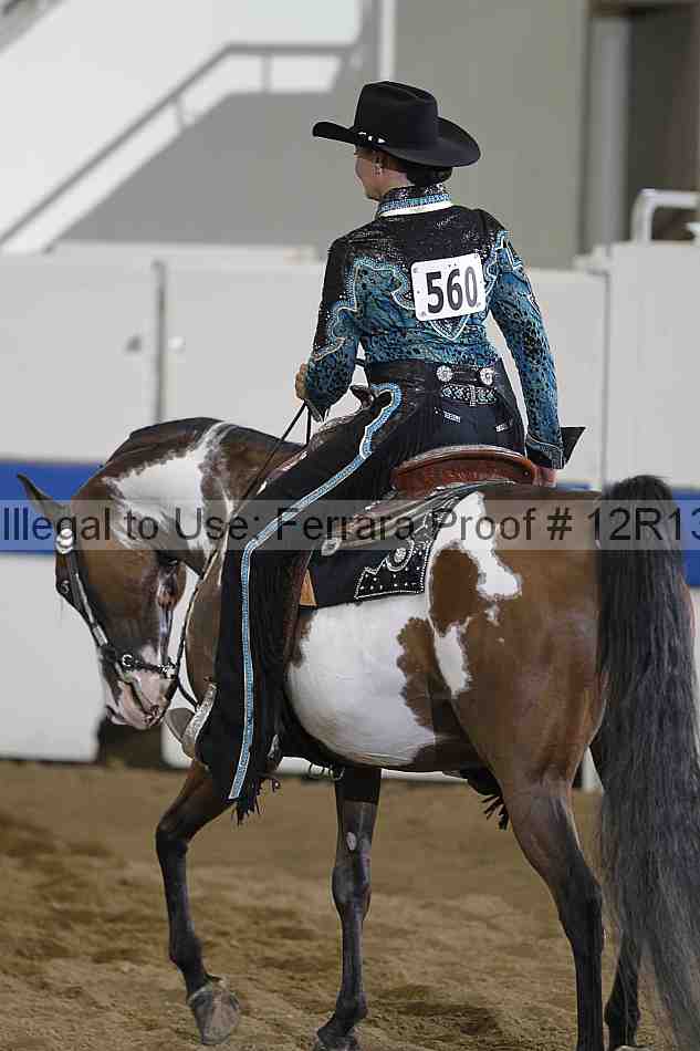 Proof 12r13_0514