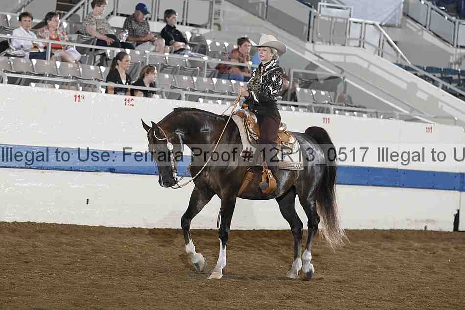 Proof 12r13_0517