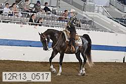12r13_0517 proof