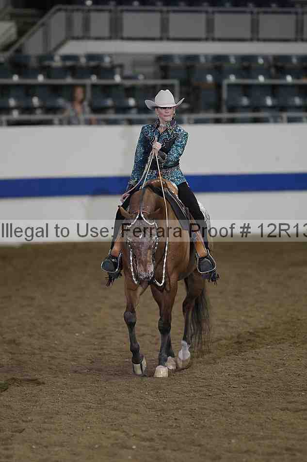 Proof 12r13_0518