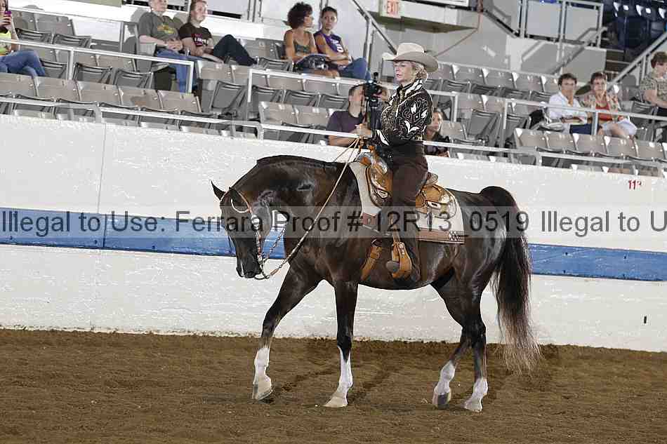 Proof 12r13_0519