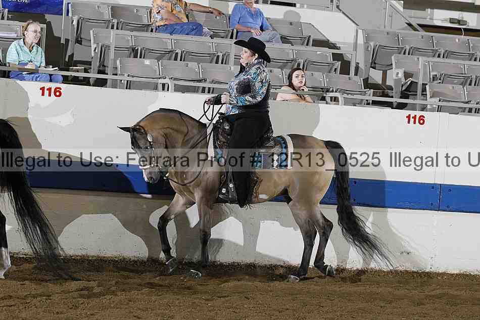 Proof 12r13_0525