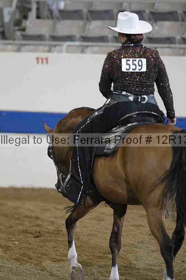 Proof 12r13_0526