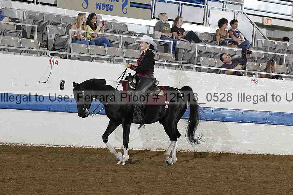 Proof 12r13_0528
