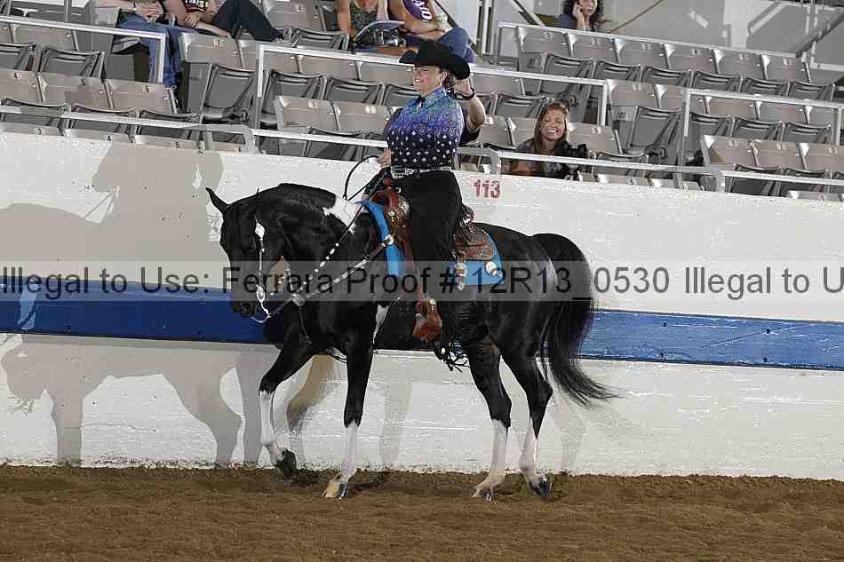 Proof 12r13_0530