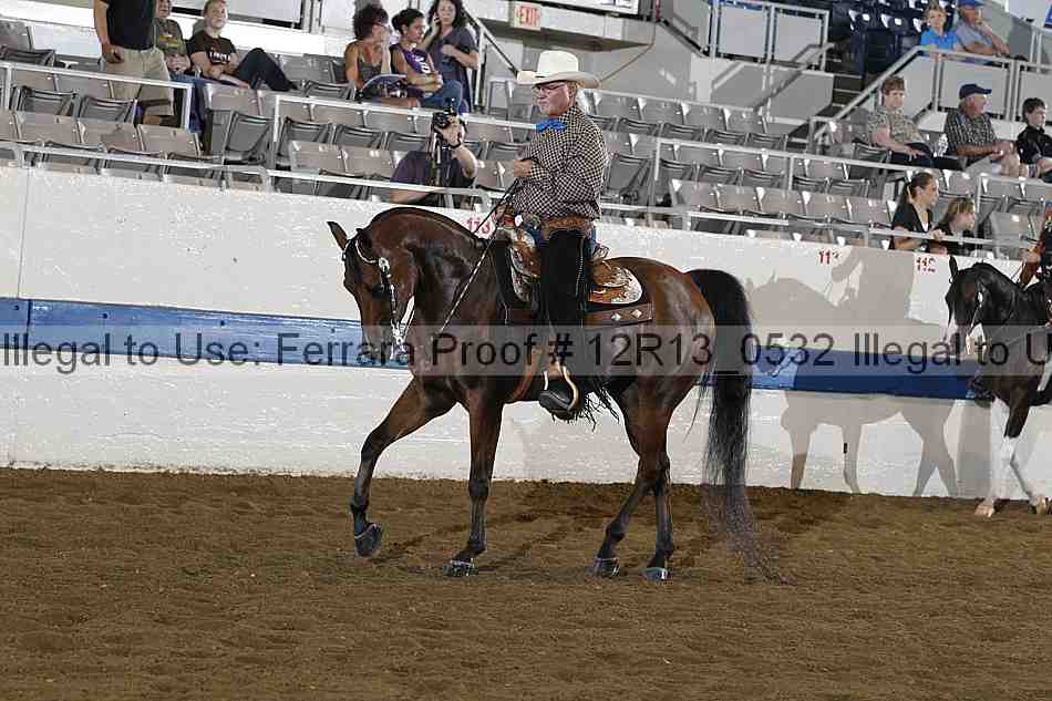 Proof 12r13_0532