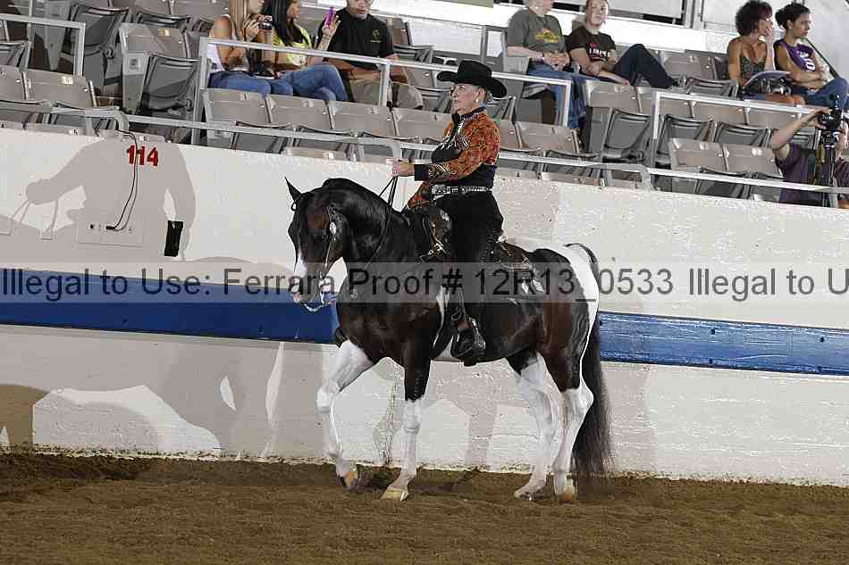 Proof 12r13_0533