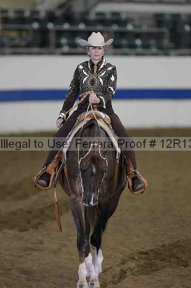 Proof 12r13_0536
