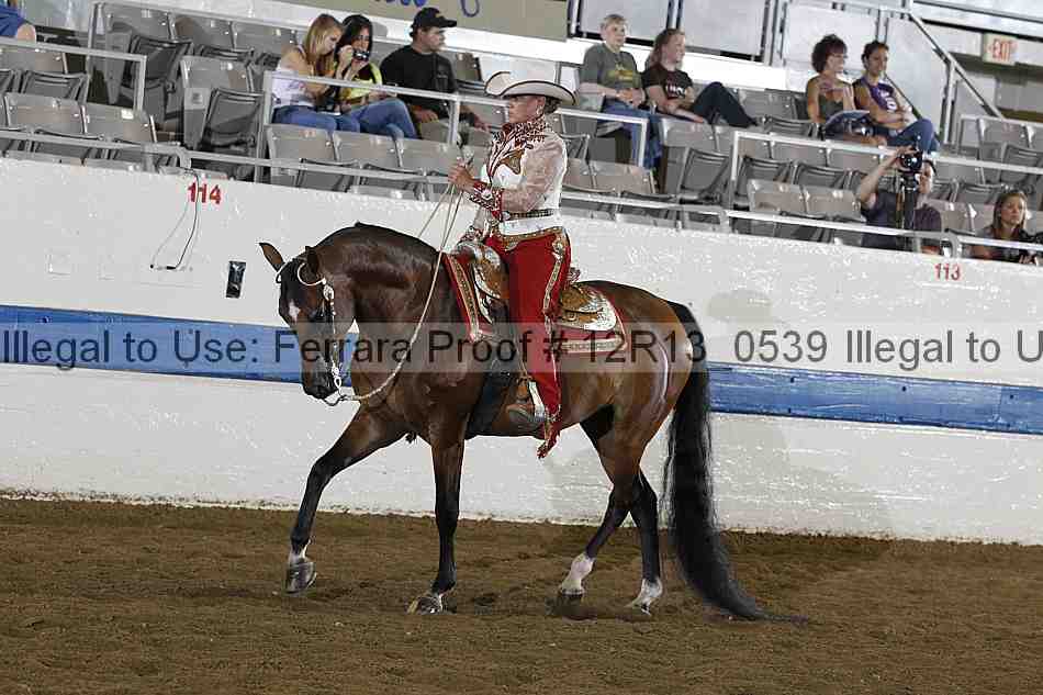 Proof 12r13_0539