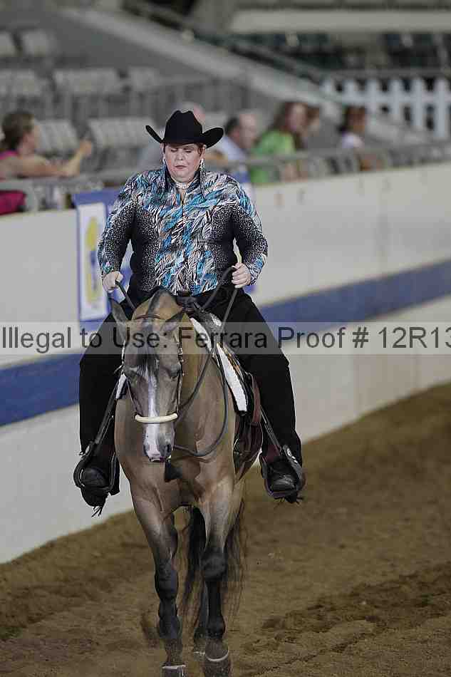 Proof 12r13_0540