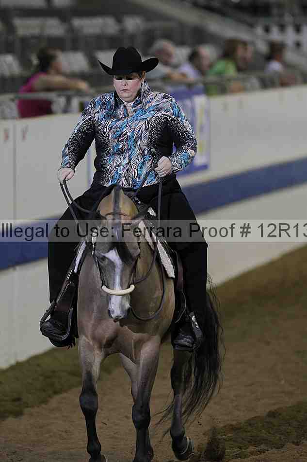 Proof 12r13_0541
