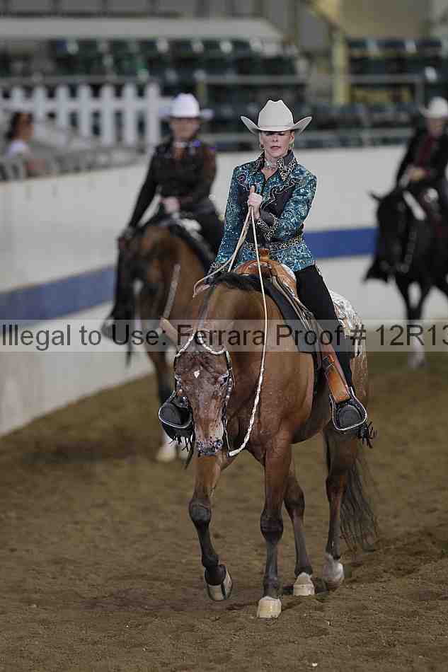 Proof 12r13_0542