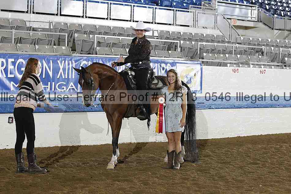 Proof 12r13_0546