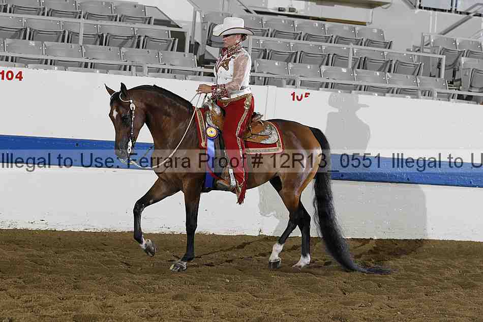 Proof 12r13_0551