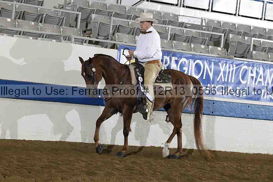 Proof 12r13_0556