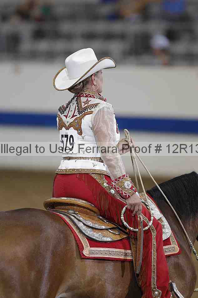 Proof 12r13_0557