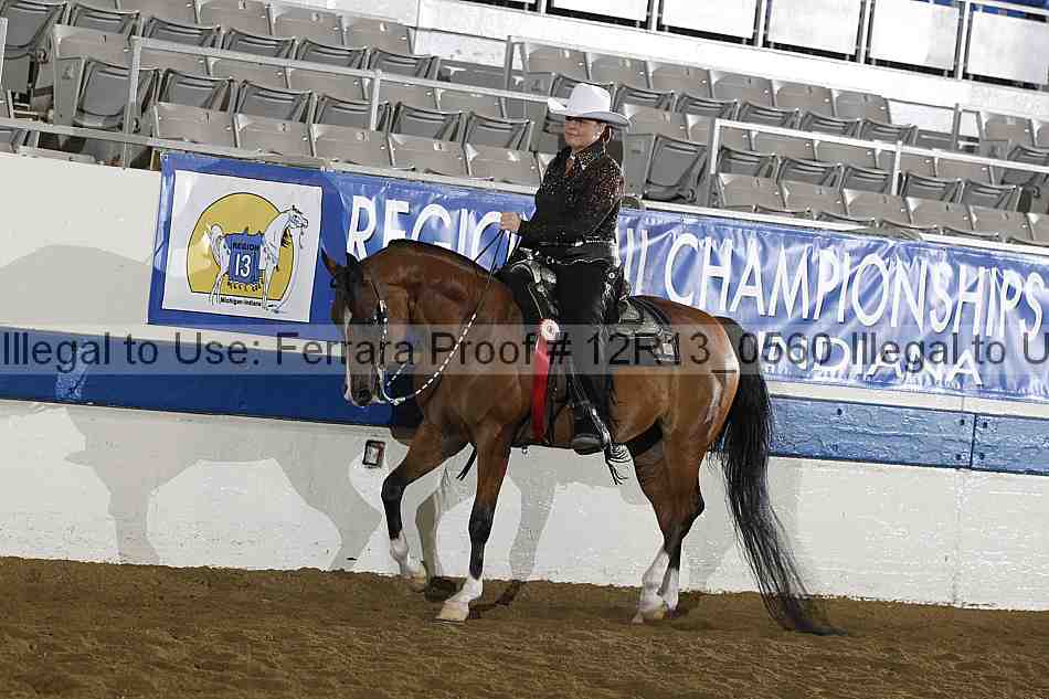 Proof 12r13_0560