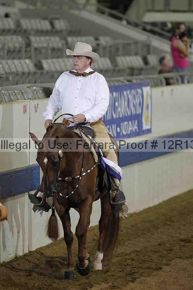 Proof 12r13_0563