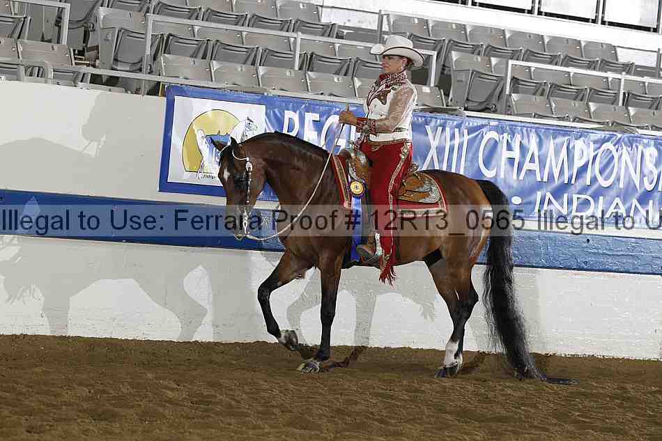 Proof 12r13_0565