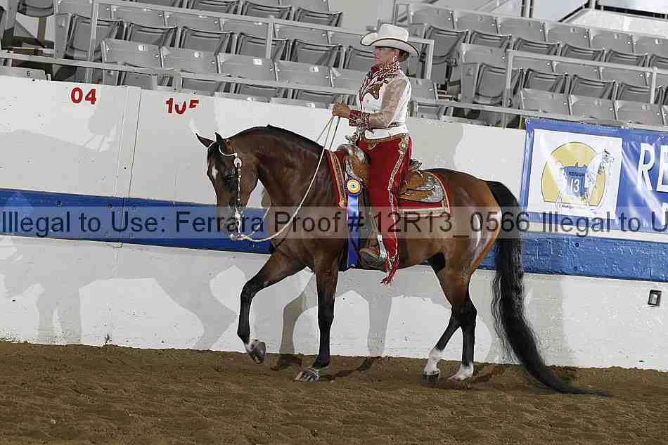 Proof 12r13_0566
