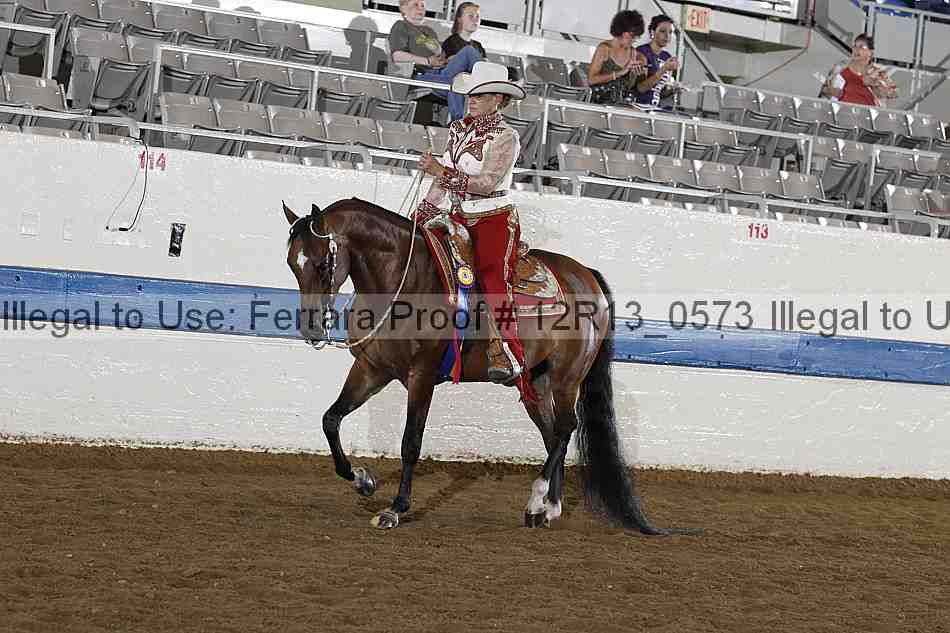 Proof 12r13_0573