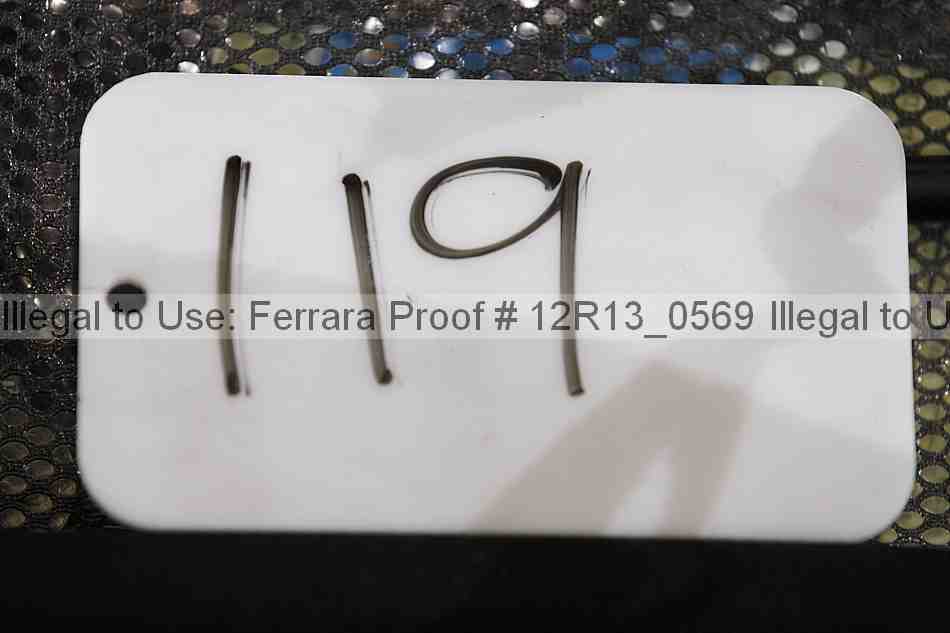 Proof 12r13_0569